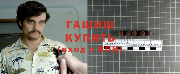 индика Павлово