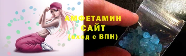 индика Ладушкин