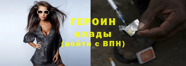индика Ладушкин