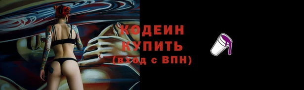 индика Ладушкин
