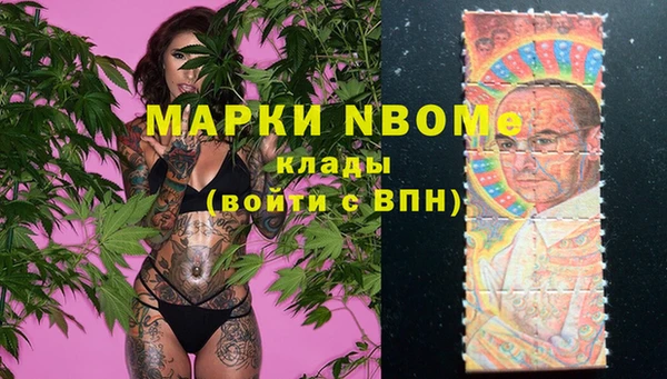 сатива Майский