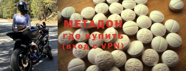 индика Ладушкин