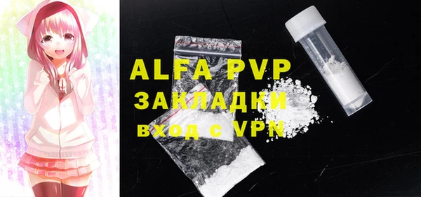 индика Ладушкин