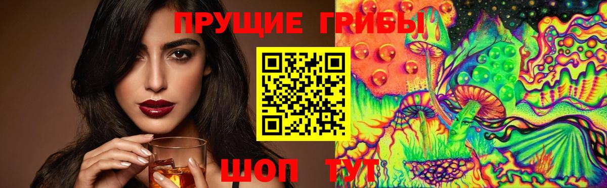 Сосновый Бор  Псилоцибиновые грибы мухоморы  где купить наркотик  Вход с VPN 