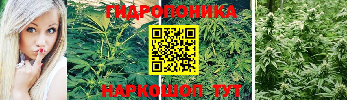 Каннабис LSD WEED  Бошки Шишки тримм  Конопля AK-47  Вход с VPN  Сосновый Бор 