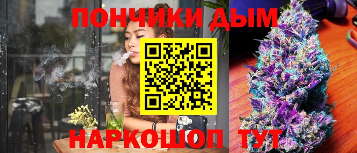 Бошки Шишки план  Сосновый Бор  Марихуана OG Kush 